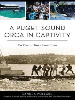 cover image of A Puget Sound Orca in Captivity